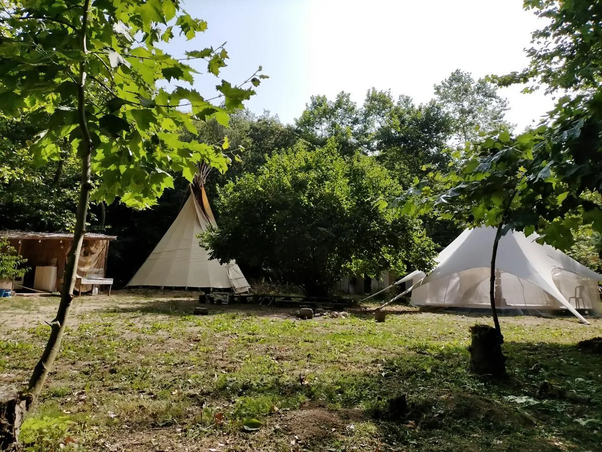 Albergue Del Oso Tierraluz Arbúcies Agroturismo